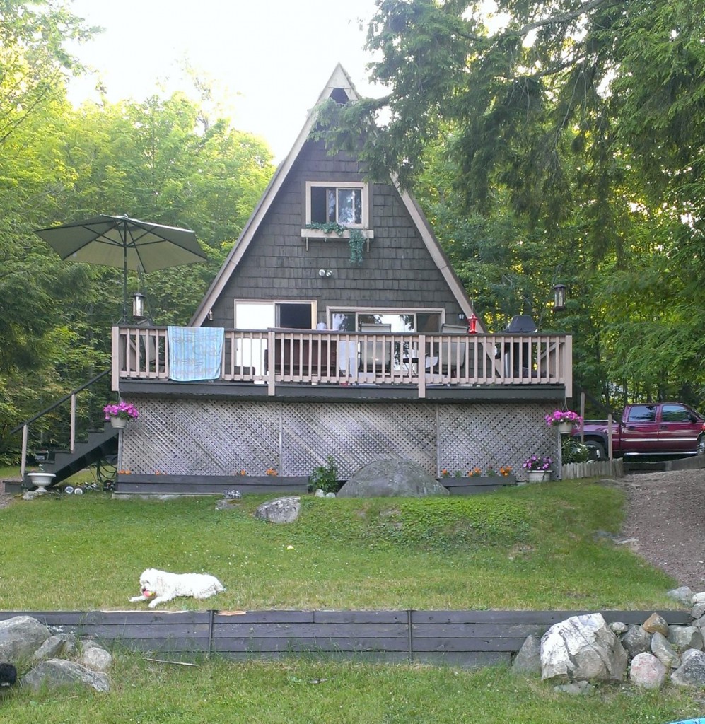 The cottage and one of the dogs