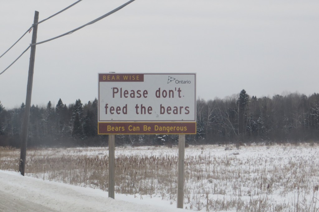 Warning: Bears can be dangerous!