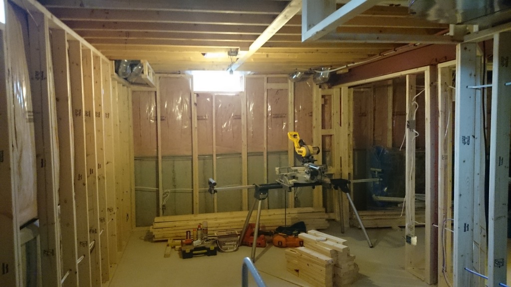 Basement Reno