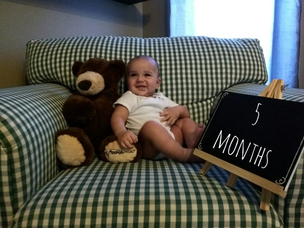5 months old