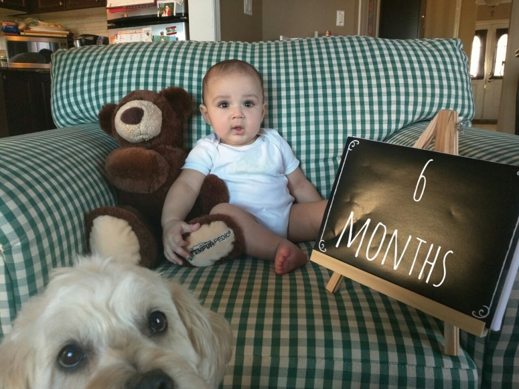 6 Months Old