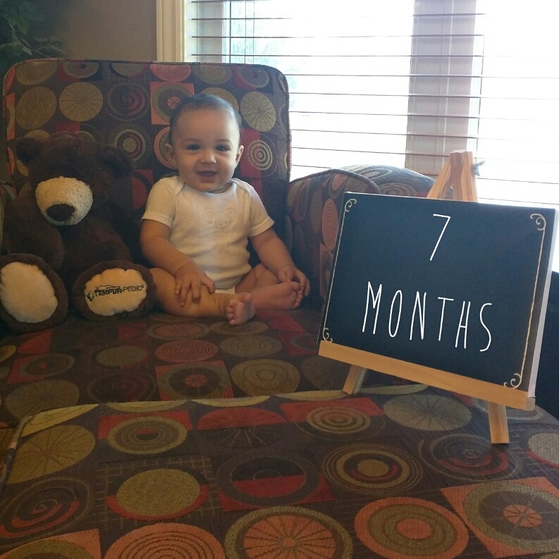 7 Months Old